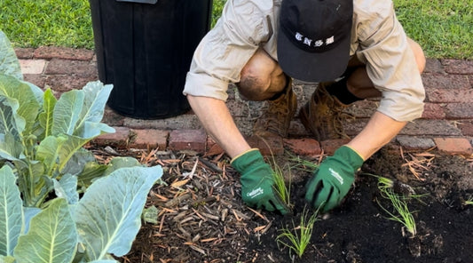 5 Top Tips For Your Garden This Autumn