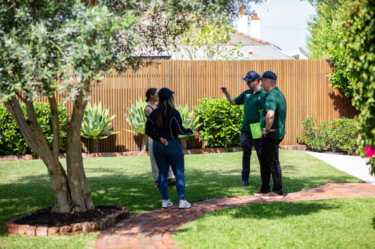 How we came 2nd in the City of Vincent’s Garden Competition - Clarence Gardens