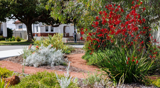 Freebies and Rebates to Boost Your Garden