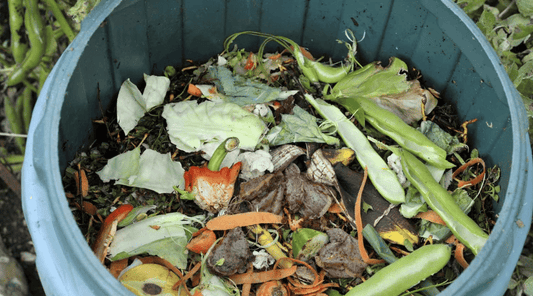 Home Composting Tips For Your Garden