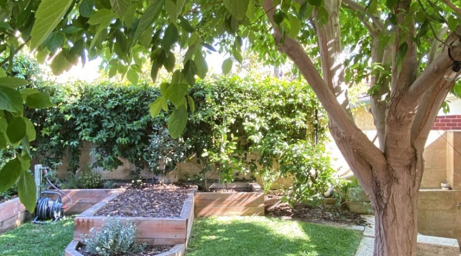 How to Give Your Garden a Spring Refresh