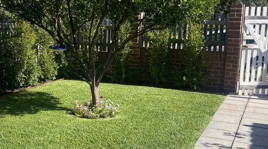 Your Essential Garden Maintenance Checklist